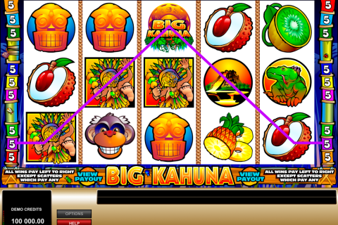 big kahuna microgaming spielautomaten