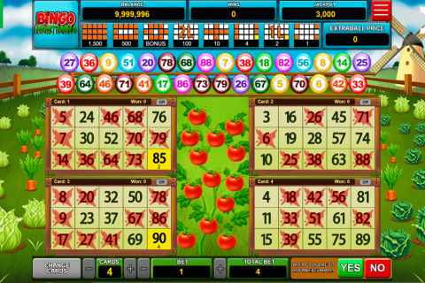 bingo hortinha caleta gaming