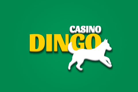 casino dingo