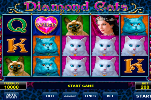diamond cats amatic spielautomaten
