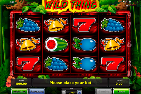 wild thing novomatic spielautomaten